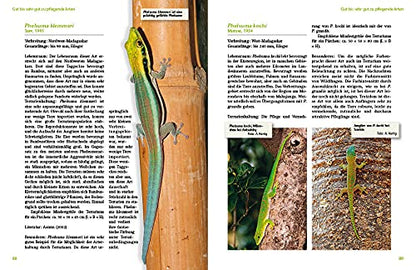 Taggeckos der Gattung Phelsuma: Lebensweise, Haltung, Zucht (Terrarien-Bibliothek