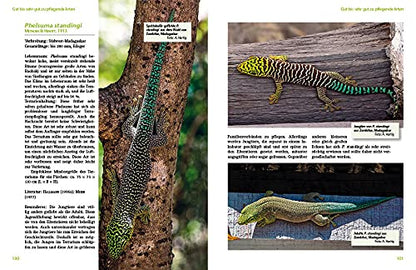 Taggeckos der Gattung Phelsuma: Lebensweise, Haltung, Zucht (Terrarien-Bibliothek