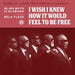 I Wish I Knew How It Would Feel to Be Free (RSD 2021)
