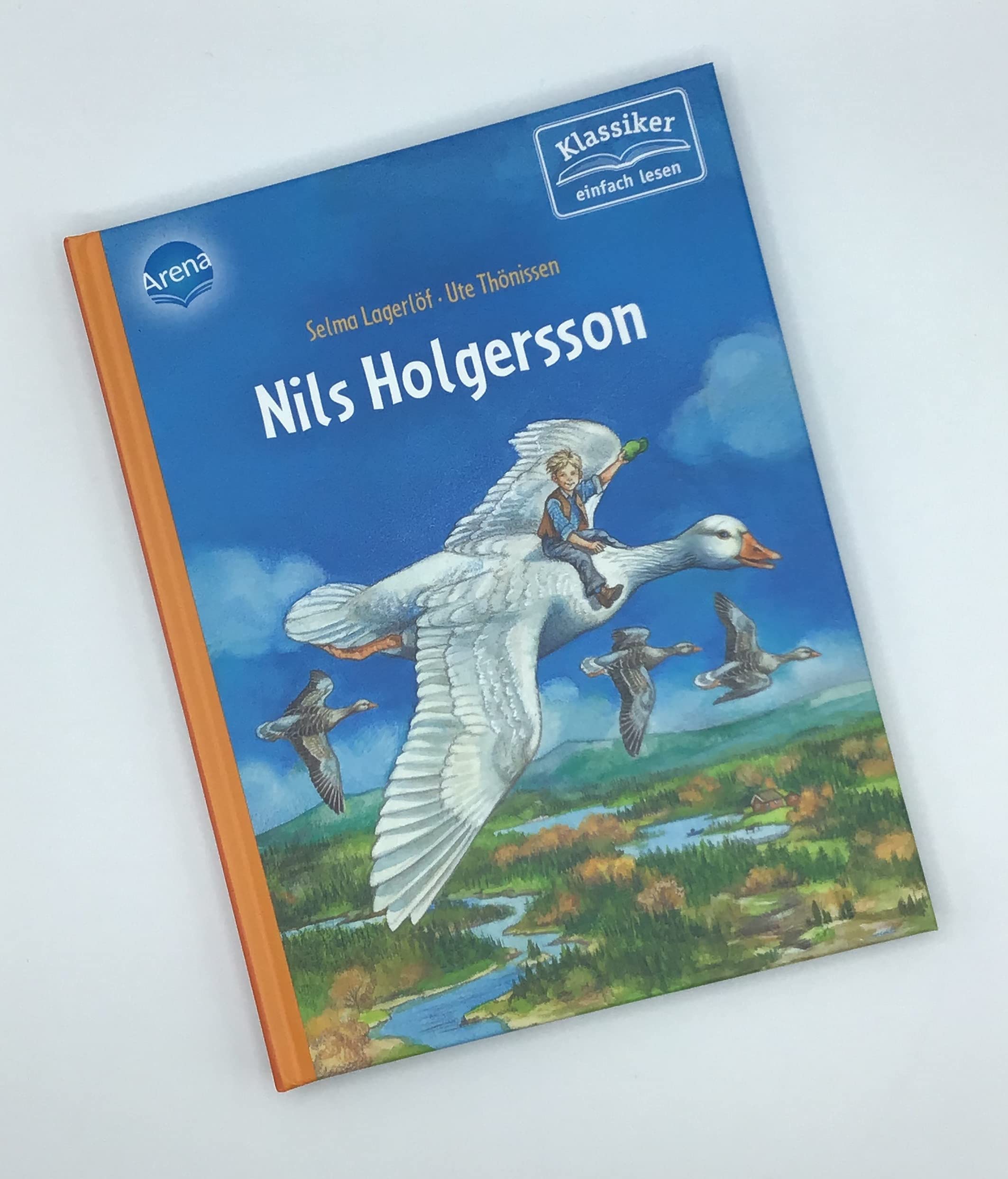 Nils Holgersson: Klassiker einfach lesen