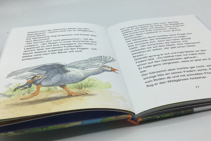 Nils Holgersson: Klassiker einfach lesen