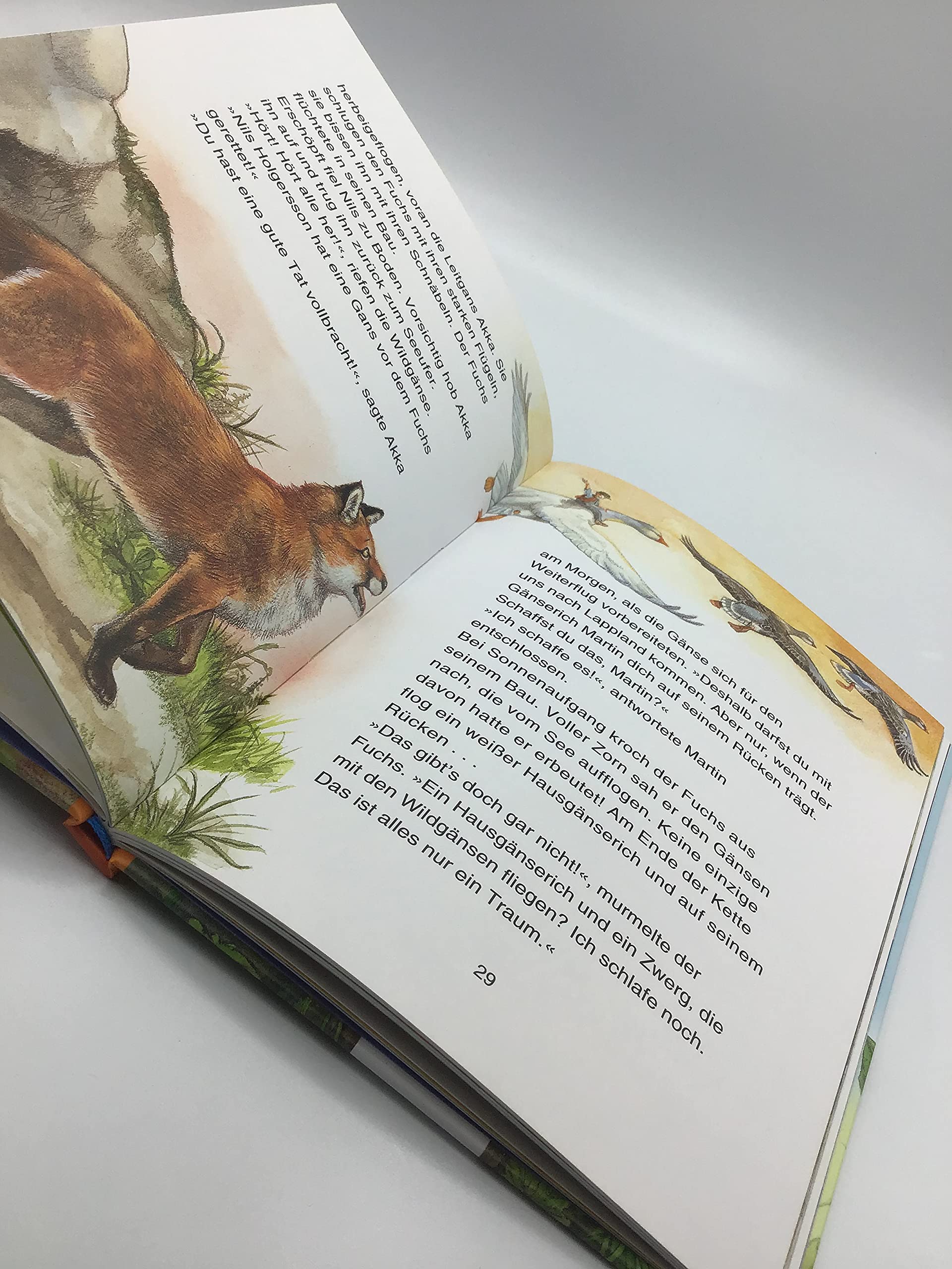 Nils Holgersson: Klassiker einfach lesen