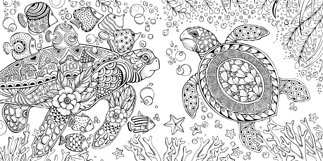 Die Welt unter der Lupe – zu Wasser: Ausmalen und durchatmen (Die Welt wird bunt, Band 7