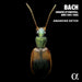 Bach: Sonates Et Partitas, BWV 1001-1006