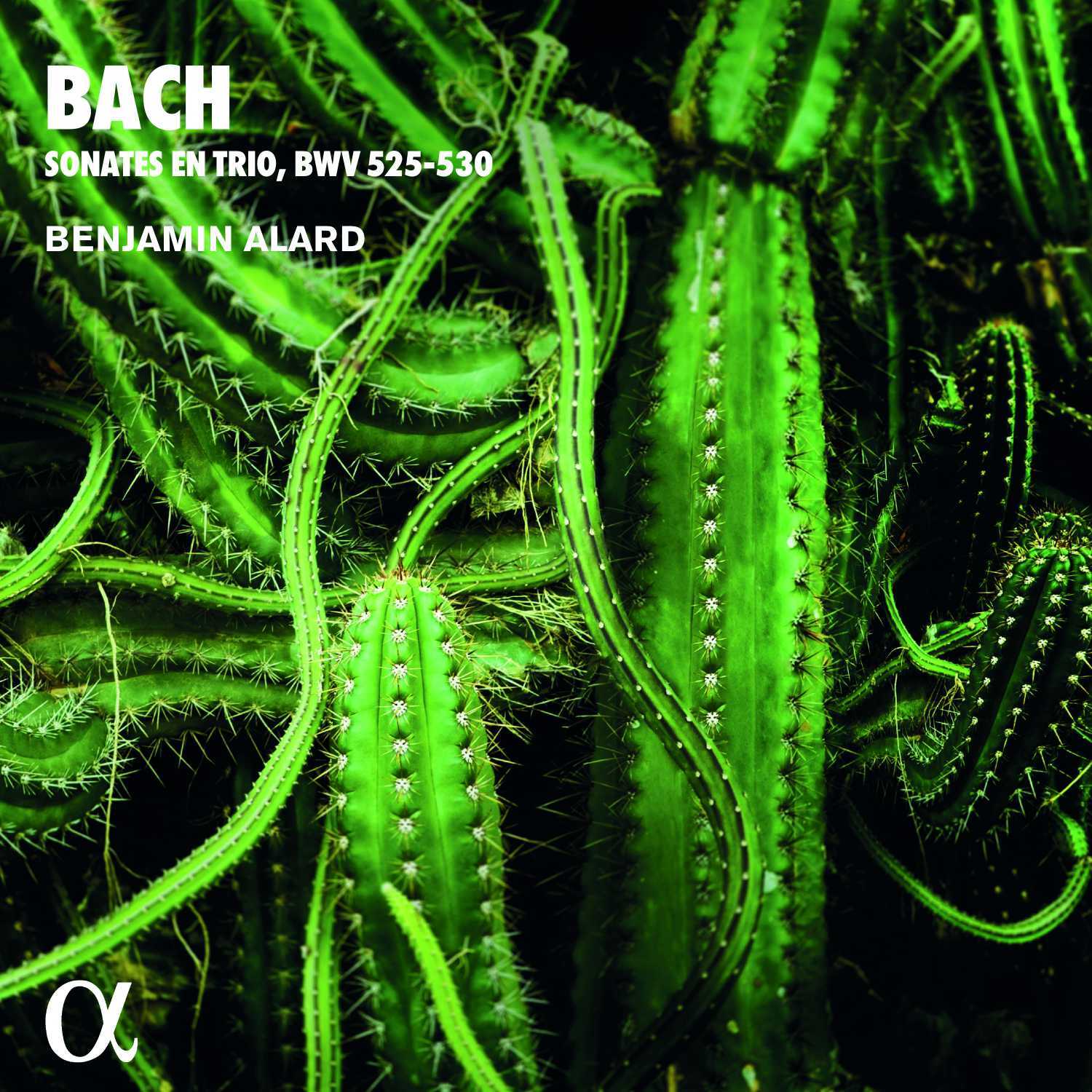Bach: Sonates En Trio, BWV525-530