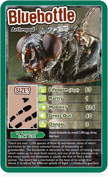 Top Trumps Bugs Classic Card Game, learn facts about the Black Widow, furry Tarantula, Praying Mantis and the Ladybird in this educational packed game, gift and toy for boys and girls aged 6 plus Bugs