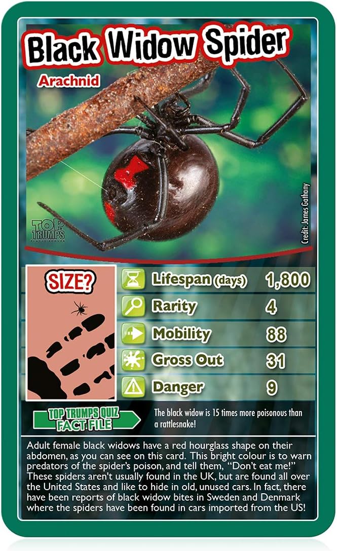 Top Trumps Bugs Classic Card Game, learn facts about the Black Widow, furry Tarantula, Praying Mantis and the Ladybird in this educational packed game, gift and toy for boys and girls aged 6 plus Bugs