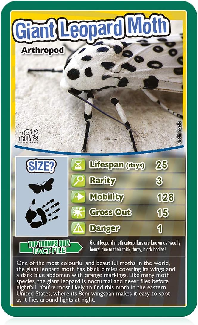 Top Trumps Bugs Classic Card Game, learn facts about the Black Widow, furry Tarantula, Praying Mantis and the Ladybird in this educational packed game, gift and toy for boys and girls aged 6 plus Bugs