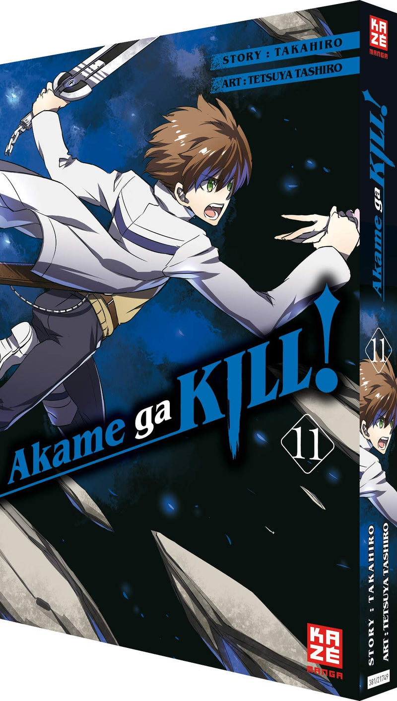 Akame ga KILL! 11