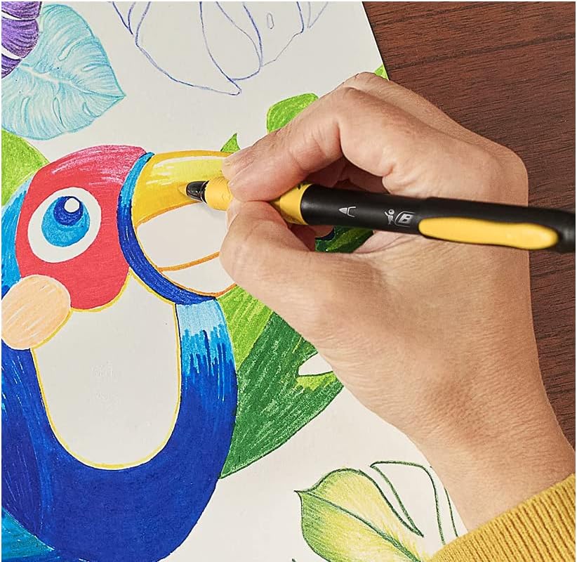 Bic Intensity Premium Felt Tip Pens for Adults and Children in 12 Colours with Comfortable Rubber Handle and Sturdy Tip, 977891