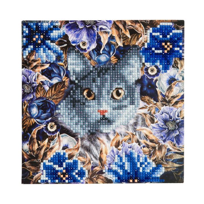 CRYSTAL ART CCK-A4: Cat and Flowers Card Kit