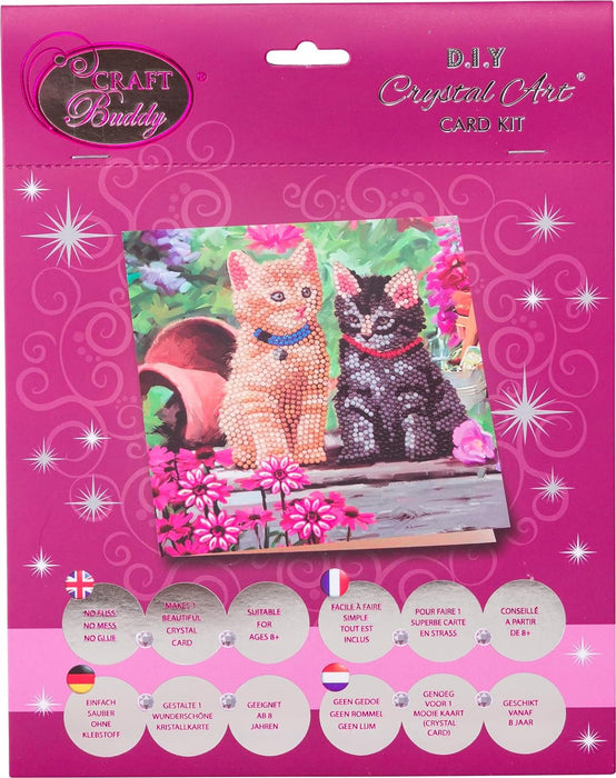 Diamond Painting "Crystal Art Card"