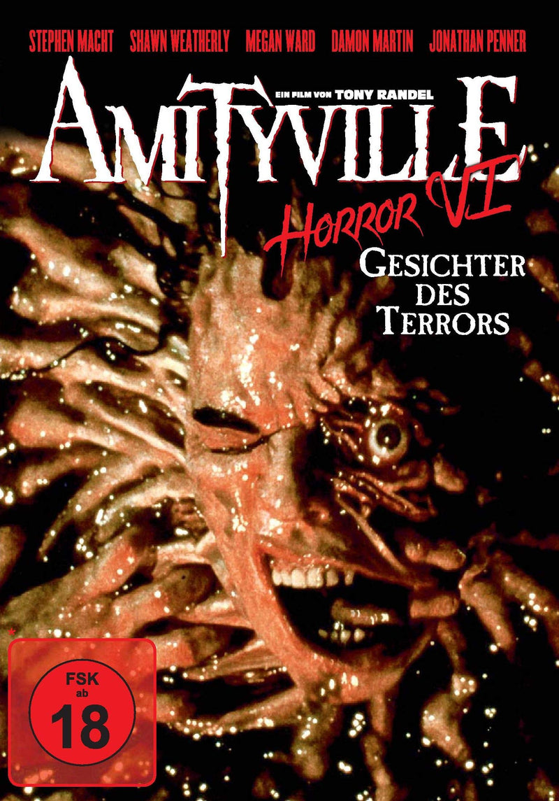 Amityville Horror VI: Gesichter des Terrors