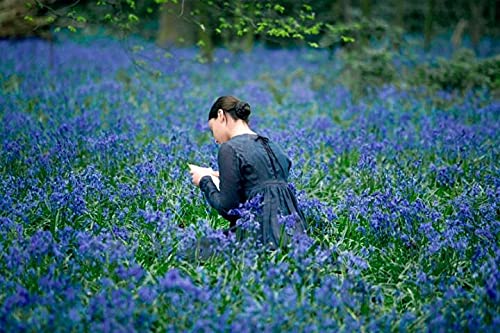 Bright Star
