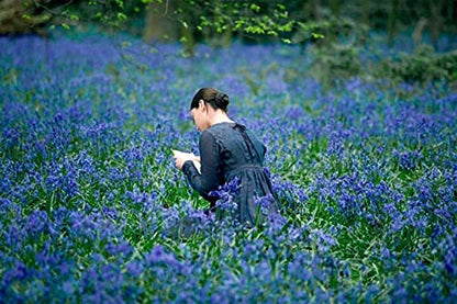 Bright Star