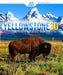 Yellowstone - 3D