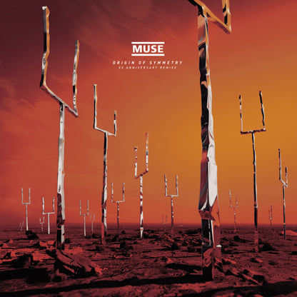 Origin of Symmetry: XX Aniversary Remixx