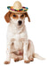 Rubie's Official Sombrero Pet Dog Costume