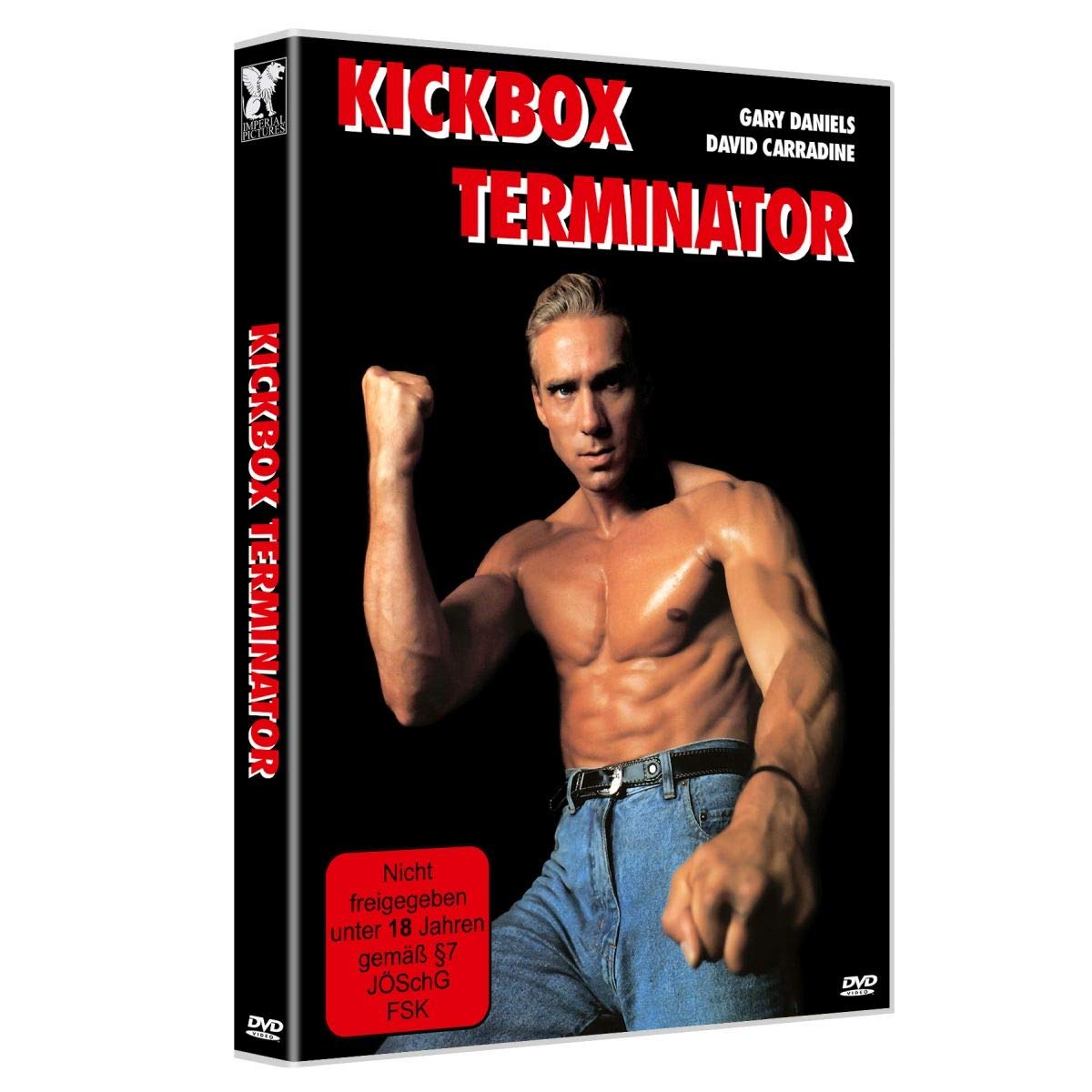 Kickbox Terminator 1