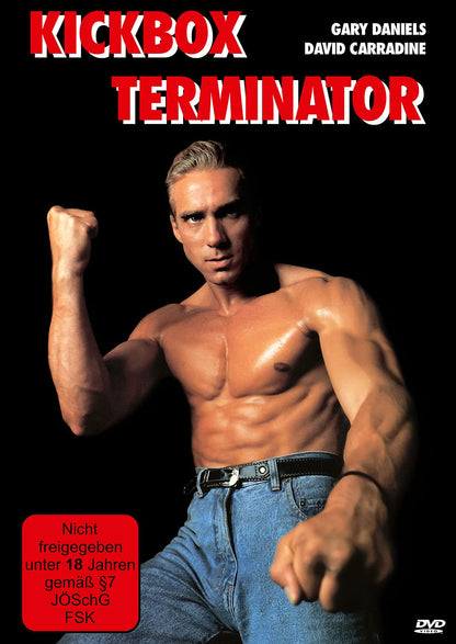 Kickbox Terminator 1