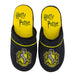 Cinereplicas Harry Potter, Unisex slipper