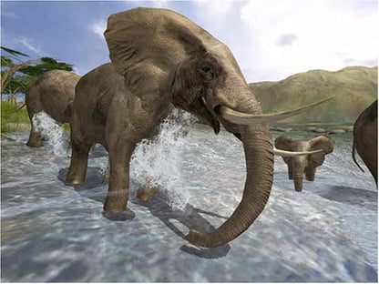 Wild Earth Africa (PC CD