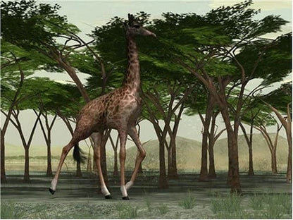 Wild Earth Africa (PC CD