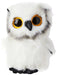 TY - Beanie Boo Owl Austin - 15 CM