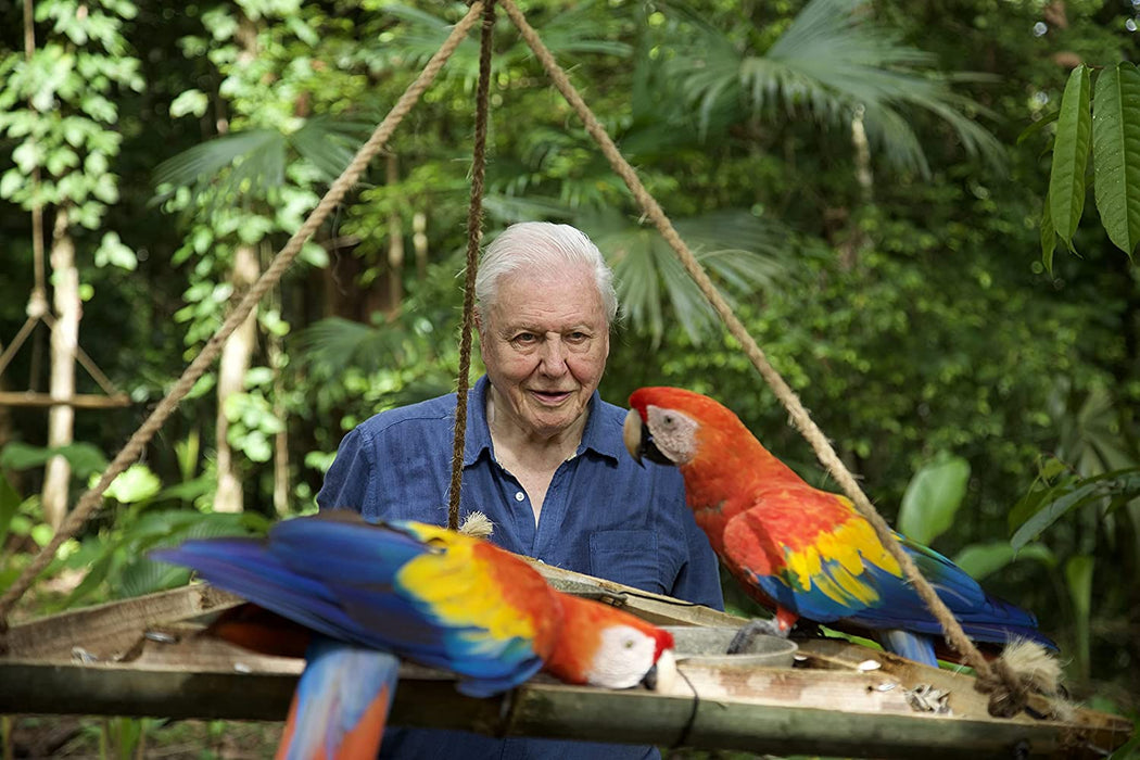 Life in Colour with David Attenborough