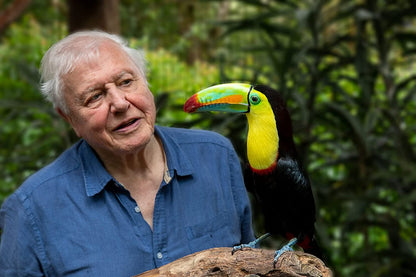 Life in Colour with David Attenborough