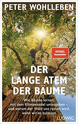 Der lange Atem der Bäume: Wie Bäume lernen, mit dem Klimawandel umzugehen – und warum der Wald uns retten wird, wenn wir es zulassen