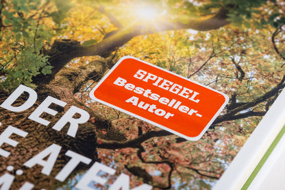 Der lange Atem der Bäume: Wie Bäume lernen, mit dem Klimawandel umzugehen – und warum der Wald uns retten wird, wenn wir es zulassen