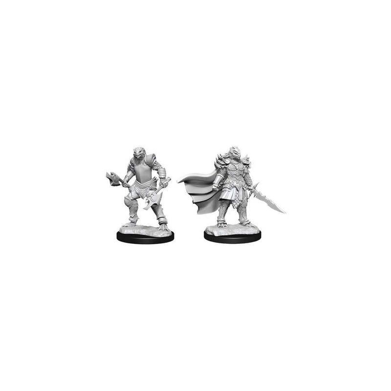 D&D Nolzur's Marvelous Miniatures: Dragonborn Fighter Female