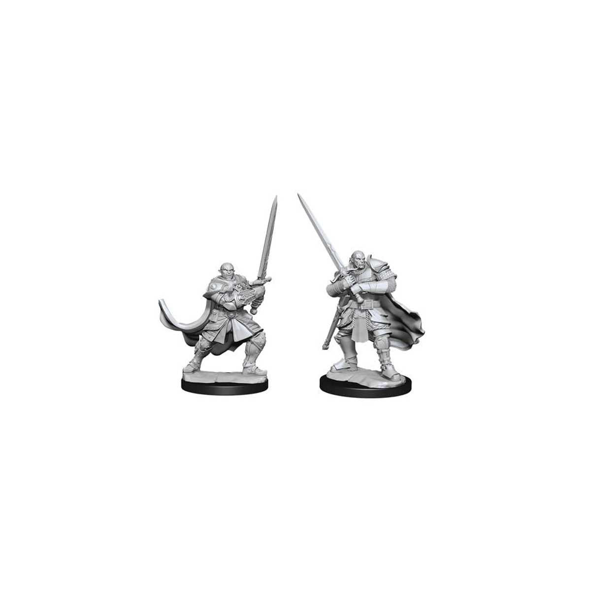 D&D Nolzur's Marvelous Miniatures: Half-Orc Paladin Male
