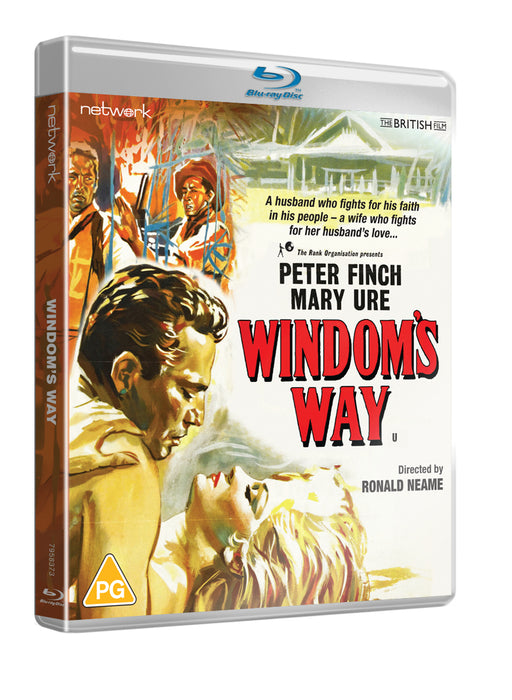 Windom's Way