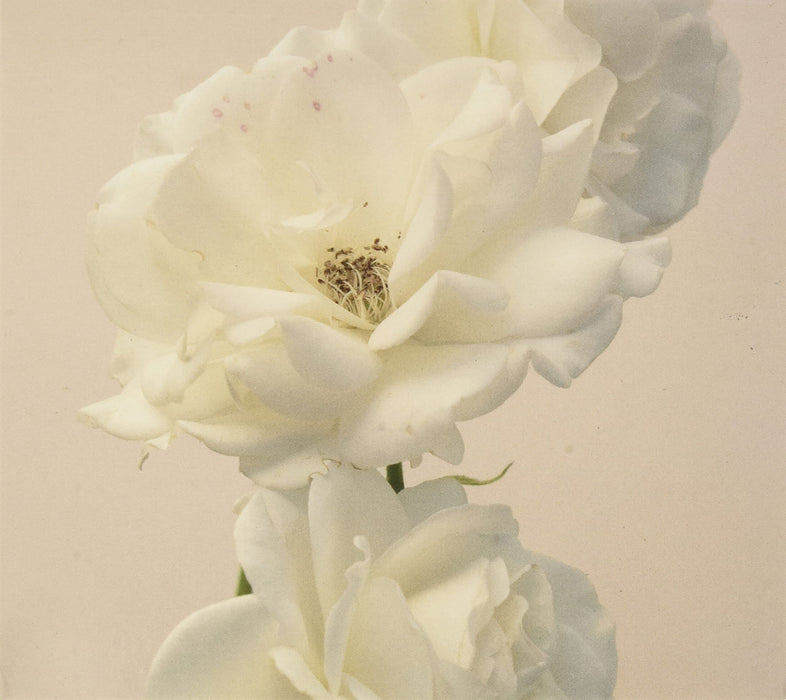 Turn the Light on:Acoustic Reimagination