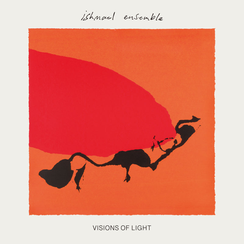 Visions of Light