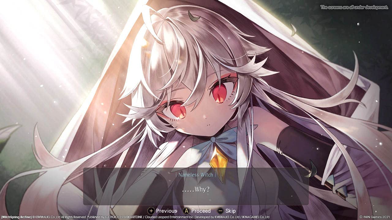 WitchSpring3  The Story of Eirudy (Nintendo Switch)