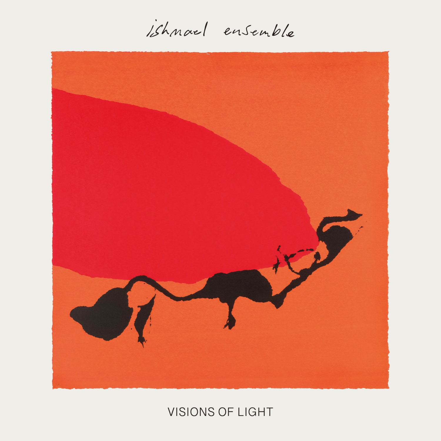 Visions of Light