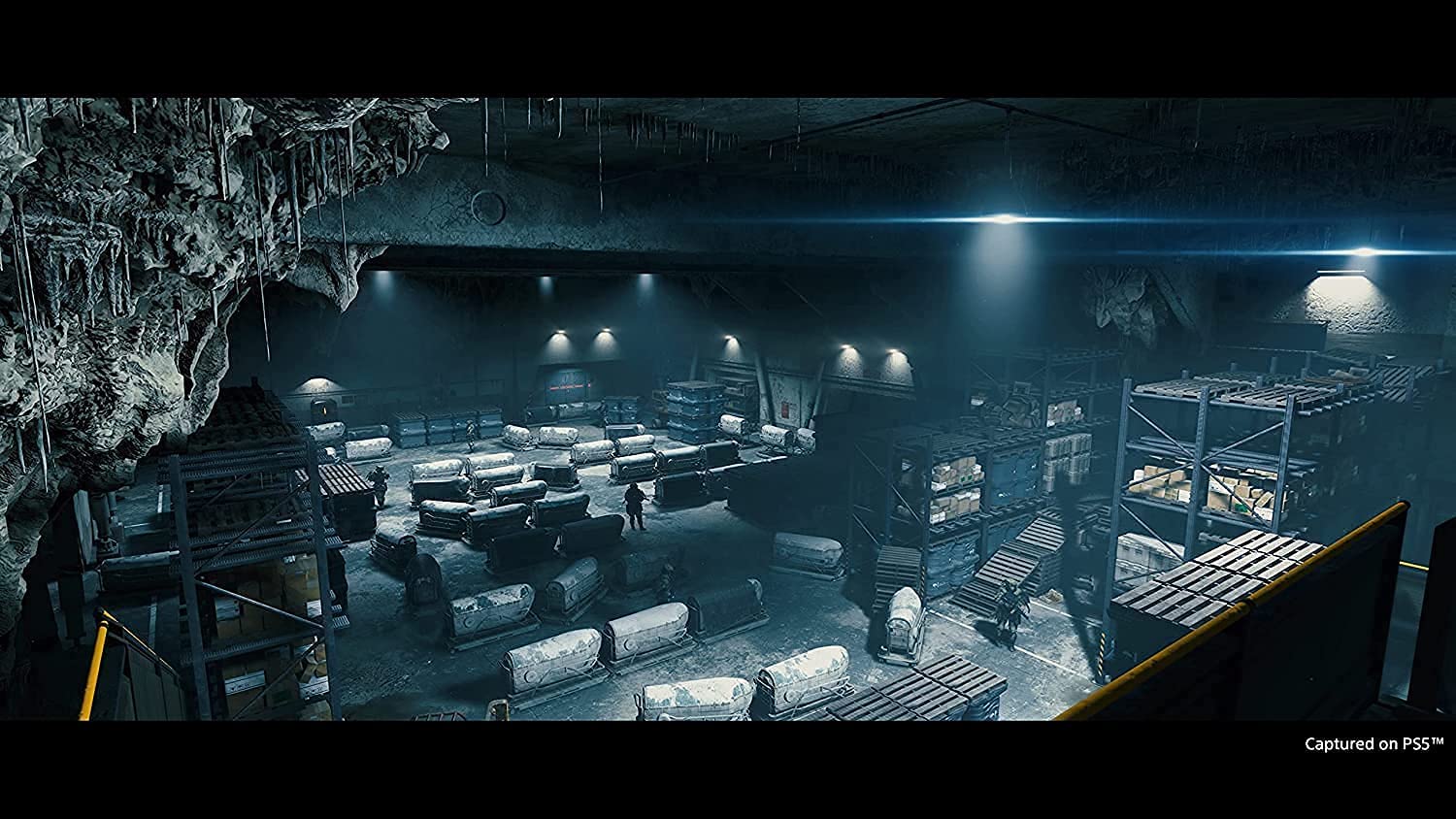 Death Stranding: Director's Cut (PS5) (PS5)