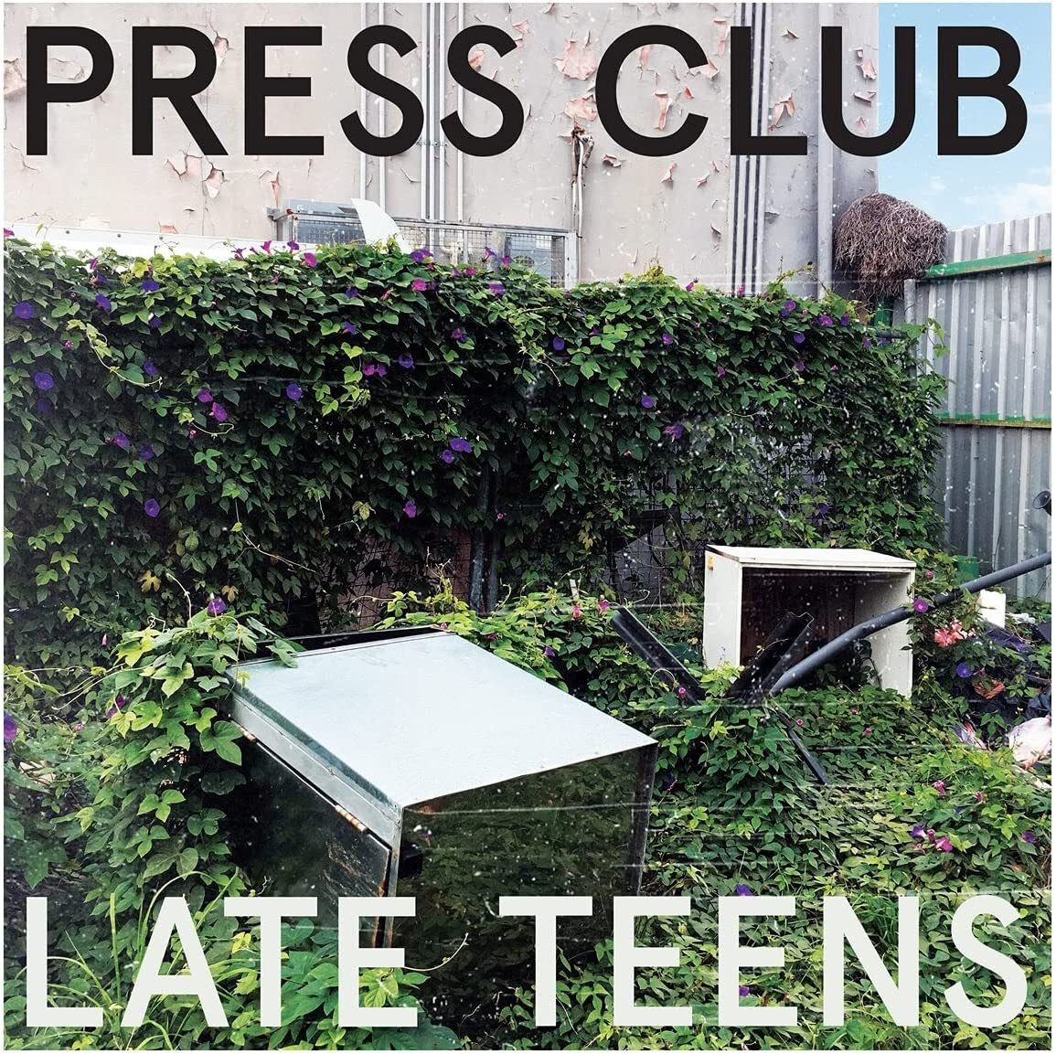 Late Teens