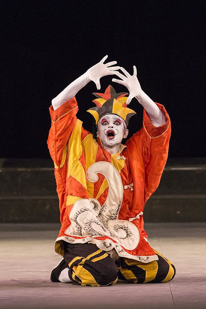 Pablo Picasso at Pompeii - Music by Satie: Parade, Stravinsky: Pulcinella - Corps de Ballet of the Teatro dell’Opera di Roma. Region 0