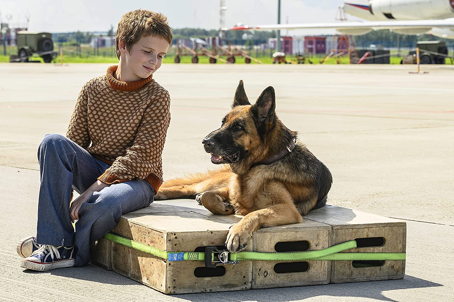 Ein Hund namens Palma