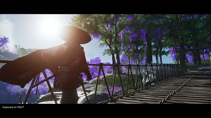 Ghost Of Tsushima Director's Cut (PS5) PlayStation 5 single