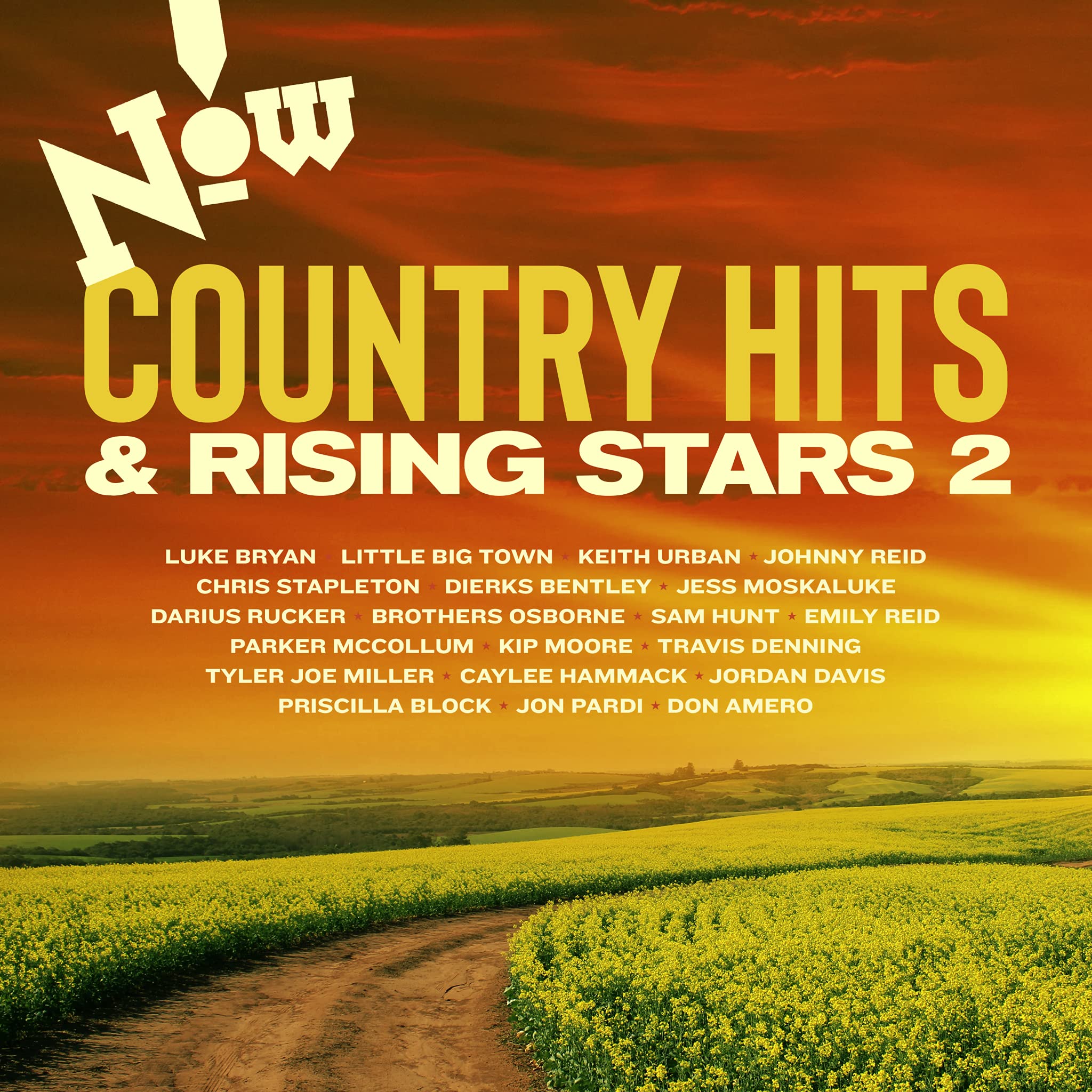 Now Country: Hits & Rising / Various