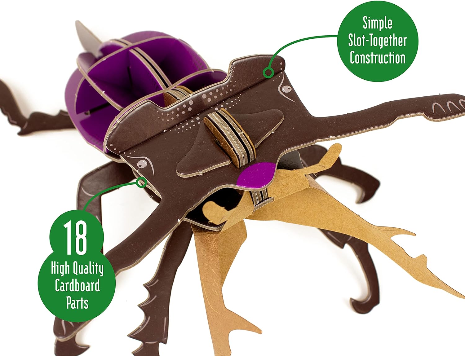 Build Your Own Striking Stag Beetle - Pull Tab Pincer Snapping Action - Eco Friendly Cardboard Craft Kit - Ages 8+