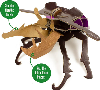 Build Your Own Striking Stag Beetle - Pull Tab Pincer Snapping Action - Eco Friendly Cardboard Craft Kit - Ages 8+