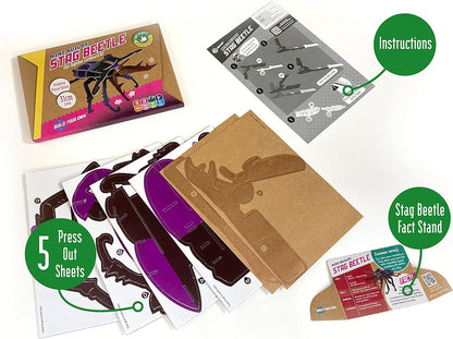 Build Your Own Striking Stag Beetle - Pull Tab Pincer Snapping Action - Eco Friendly Cardboard Craft Kit - Ages 8+