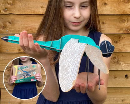 Build Your Own Beautiful Dragonfly - Pull Tab Flapping Wing Action - Eco Friendly Cardboard Craft Kit - Ages 8+