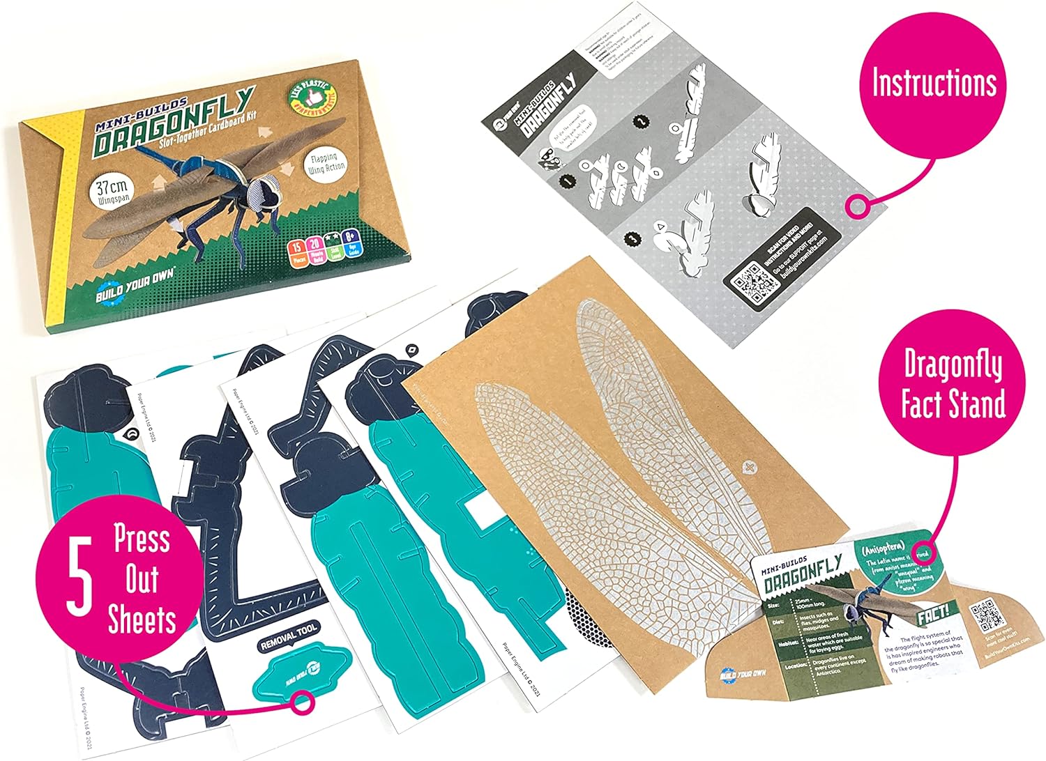 Build Your Own Beautiful Dragonfly - Pull Tab Flapping Wing Action - Eco Friendly Cardboard Craft Kit - Ages 8+